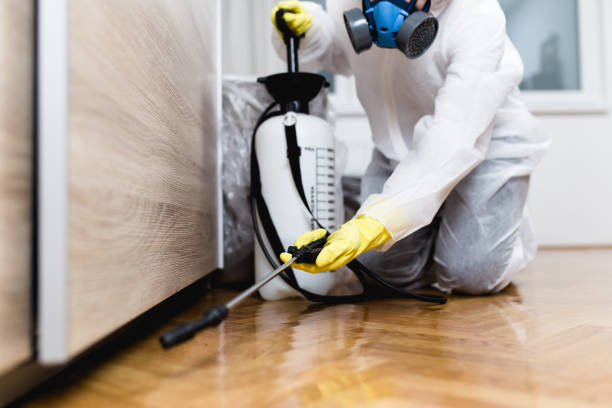 Best Local Pest Control Services  in Randleman, NC
