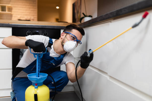 Best Pest Control for Businesses  in Randleman, NC