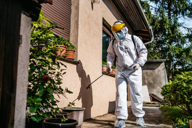 Best Flea Control Services  in Randleman, NC