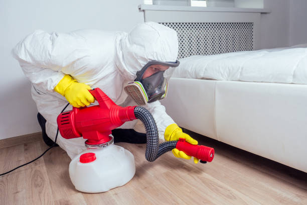 Best Affordable Pest Control Services  in Randleman, NC