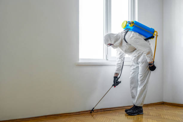 Best Rat Extermination Near Me  in Randleman, NC