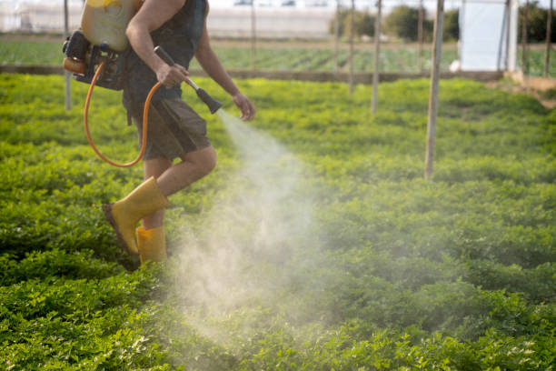 Best Exterminator Services  in Randleman, NC