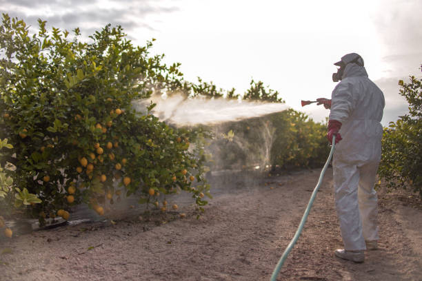 Best Bed Bug Extermination  in Randleman, NC
