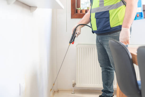 Best Local Pest Control Services  in Randleman, NC
