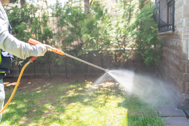Best Cockroach Control Services  in Randleman, NC