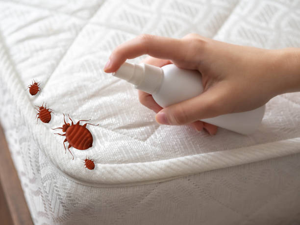 Best Mosquito Control Services  in Randleman, NC