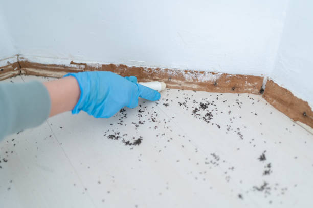 Best Bed Bug Extermination  in Randleman, NC